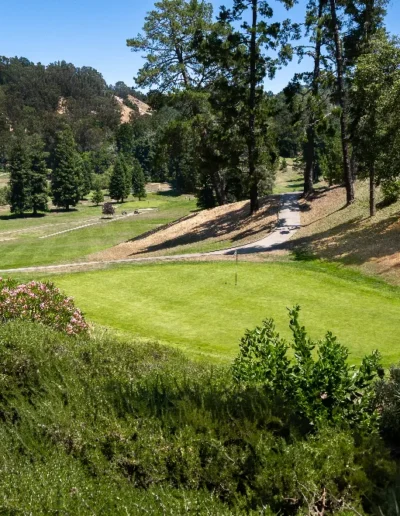 Tilden Park Collection (3 of 75) (1)