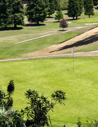 Tilden Park Collection 7 of 75 scaled