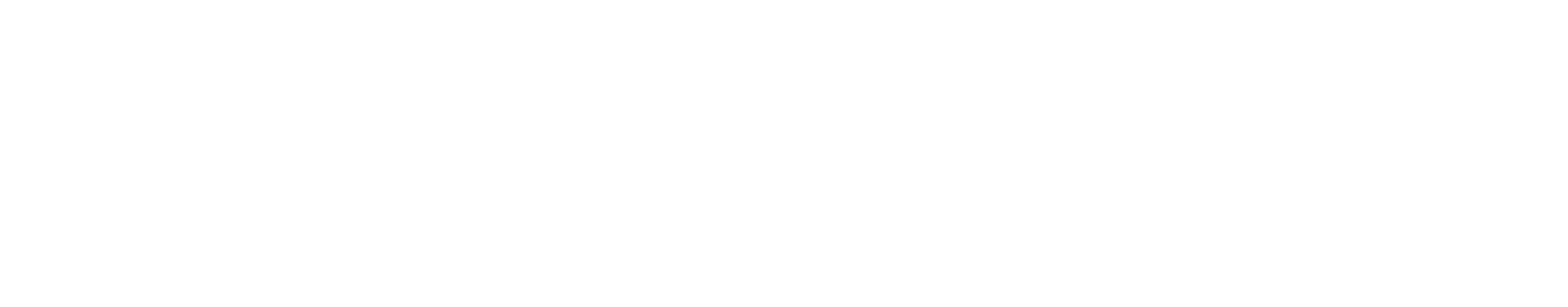 KS Main Logo with bug Reversed CMYK