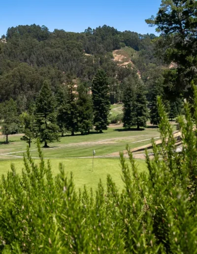 Tilden Park Collection 1 of 75 scaled