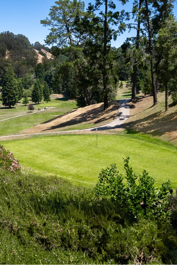 Tilden Park Collection (3 of 75) Tilden Park Collection (3 of 75)