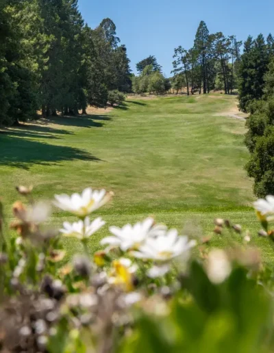 Tilden Park Collection 6 of 75 1 scaled